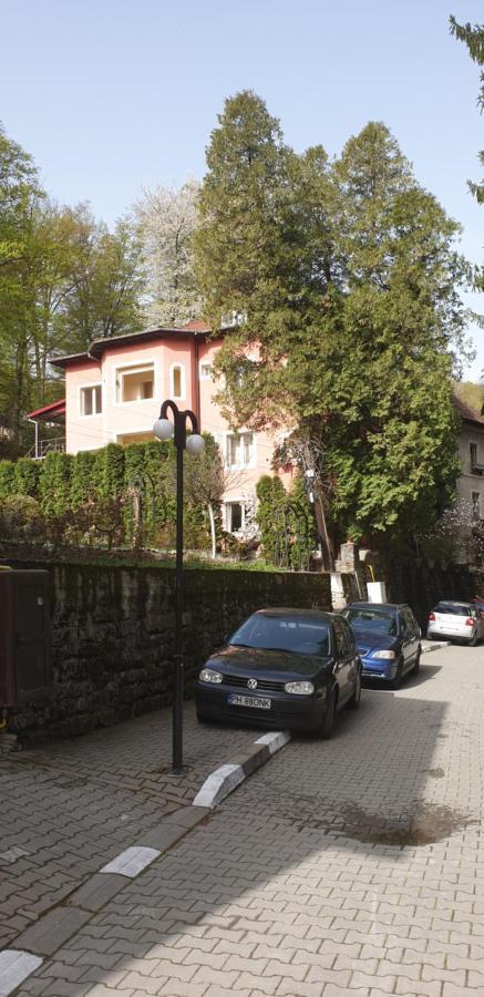 Вилла Casa Rosa Бэи­ле-Олэ­неш­ти Экстерьер фото
