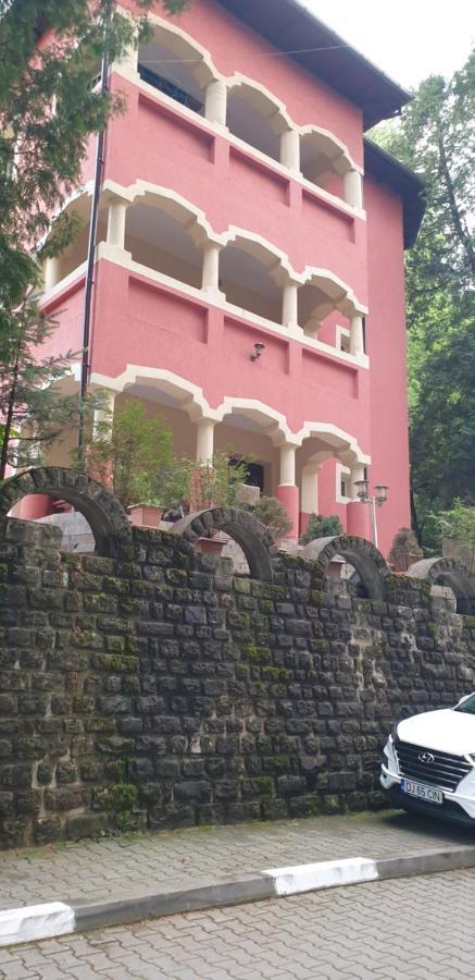 Вилла Casa Rosa Бэи­ле-Олэ­неш­ти Экстерьер фото