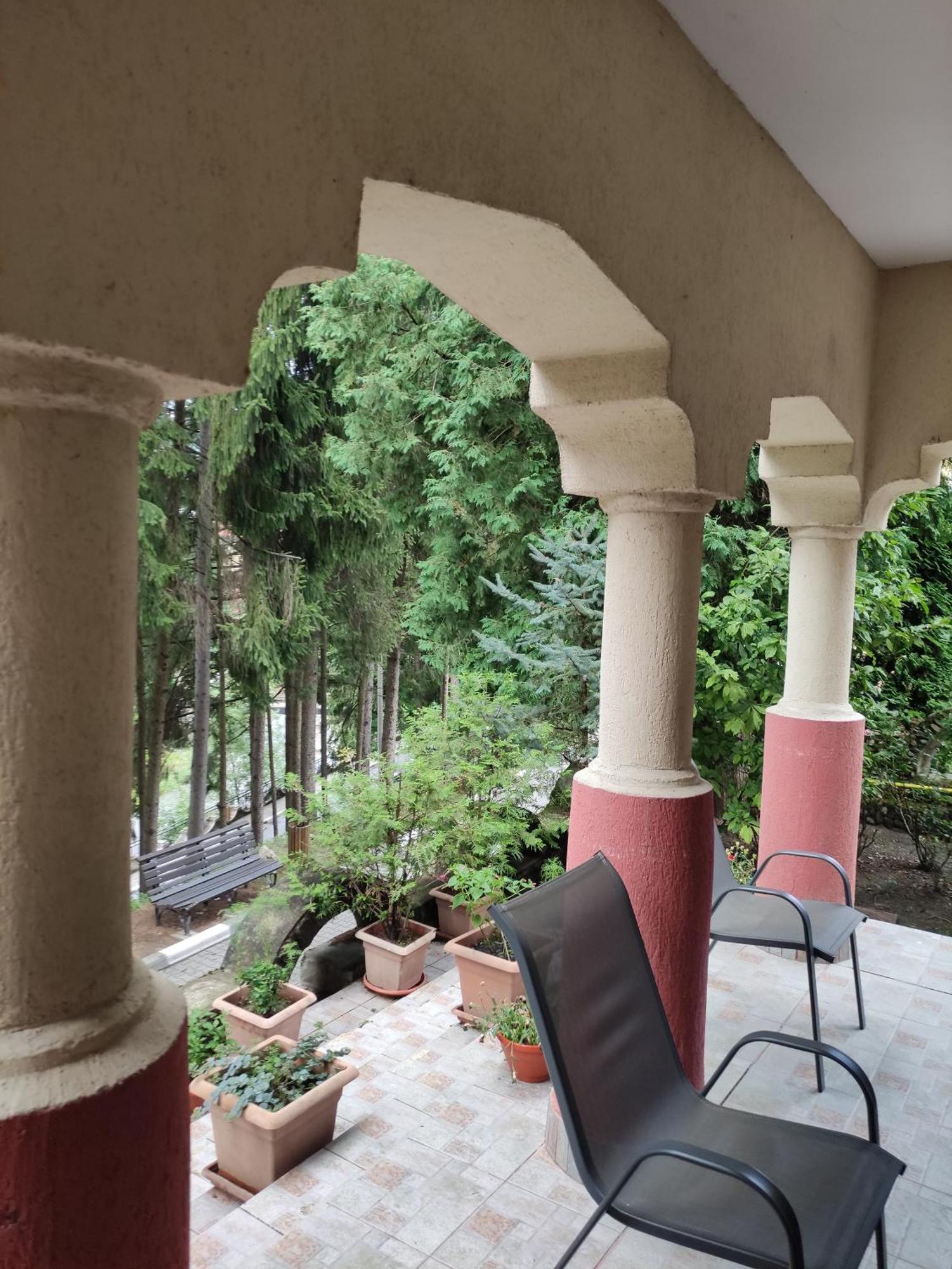 Вилла Casa Rosa Бэи­ле-Олэ­неш­ти Экстерьер фото