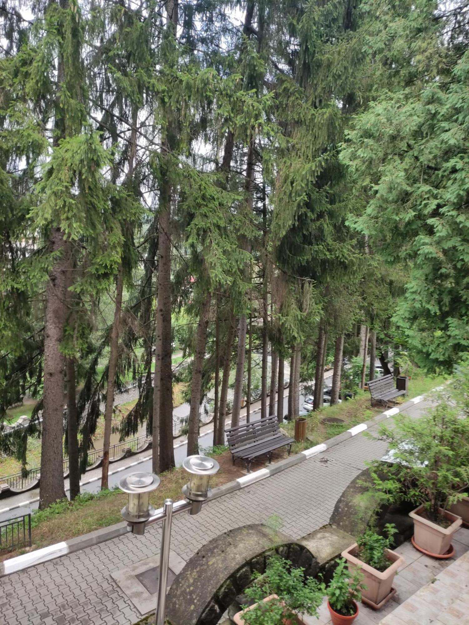 Вилла Casa Rosa Бэи­ле-Олэ­неш­ти Экстерьер фото