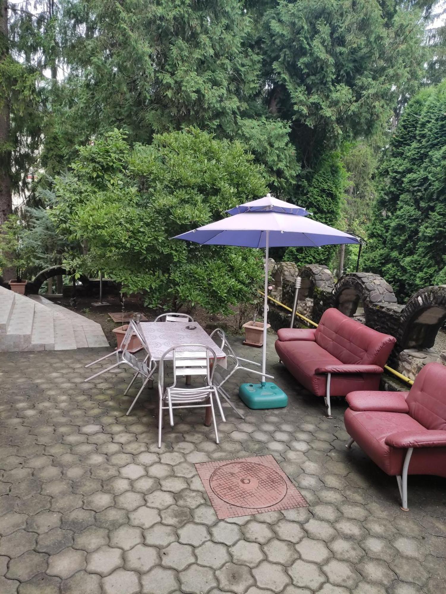 Вилла Casa Rosa Бэи­ле-Олэ­неш­ти Экстерьер фото